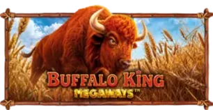 ภาพเกม Buffalo King Megaways ที่ abc222 รวบรวมไว้